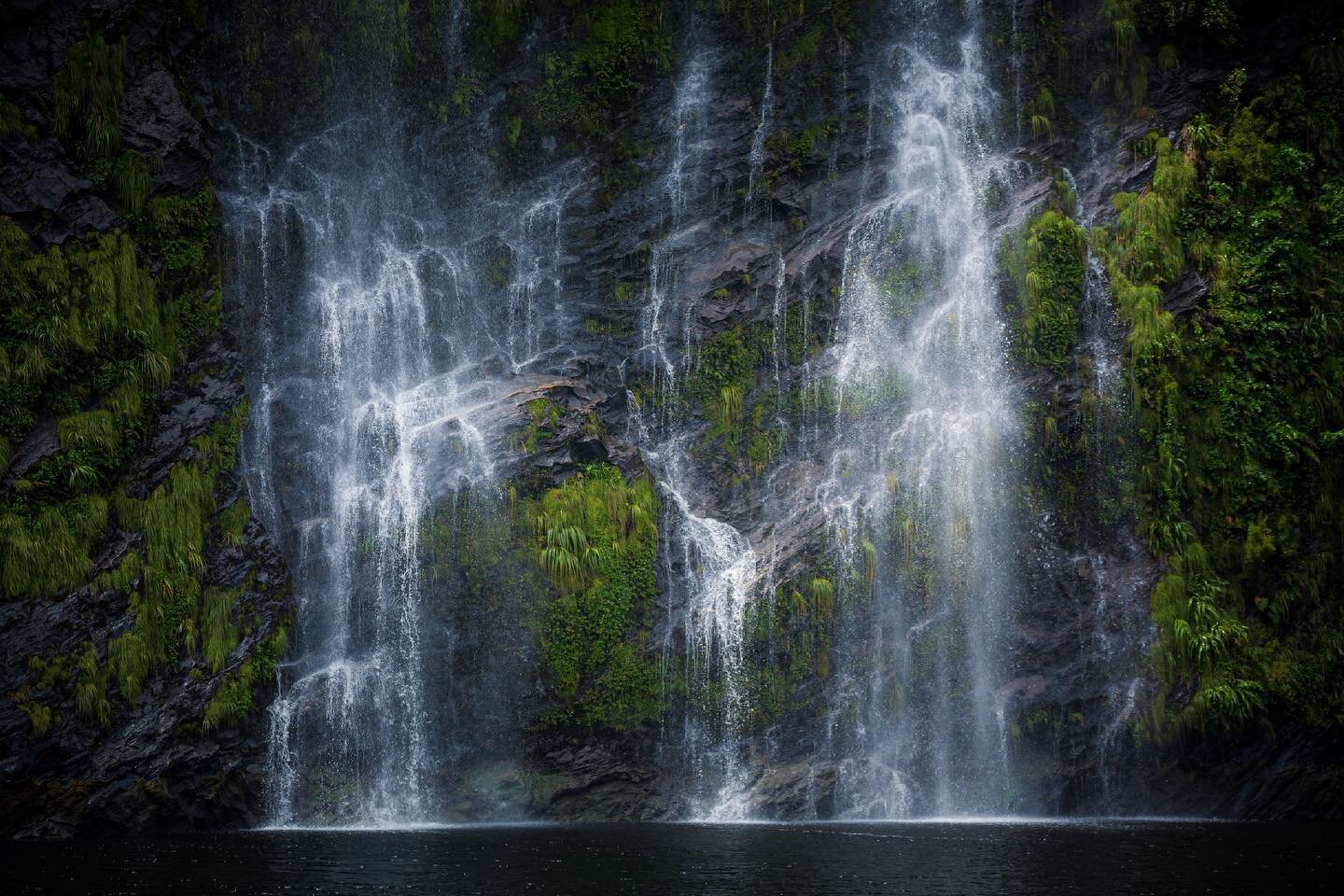 Doubtful Sound, November 2020

#doubtfulsound #newzealand #waterfall #waterfalls #fjordland