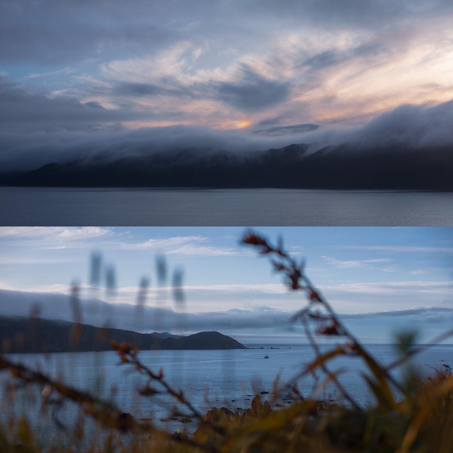 There&rsquo;s been some spectacular misty clouds the last few days!

#wellington #seatoun #dawn