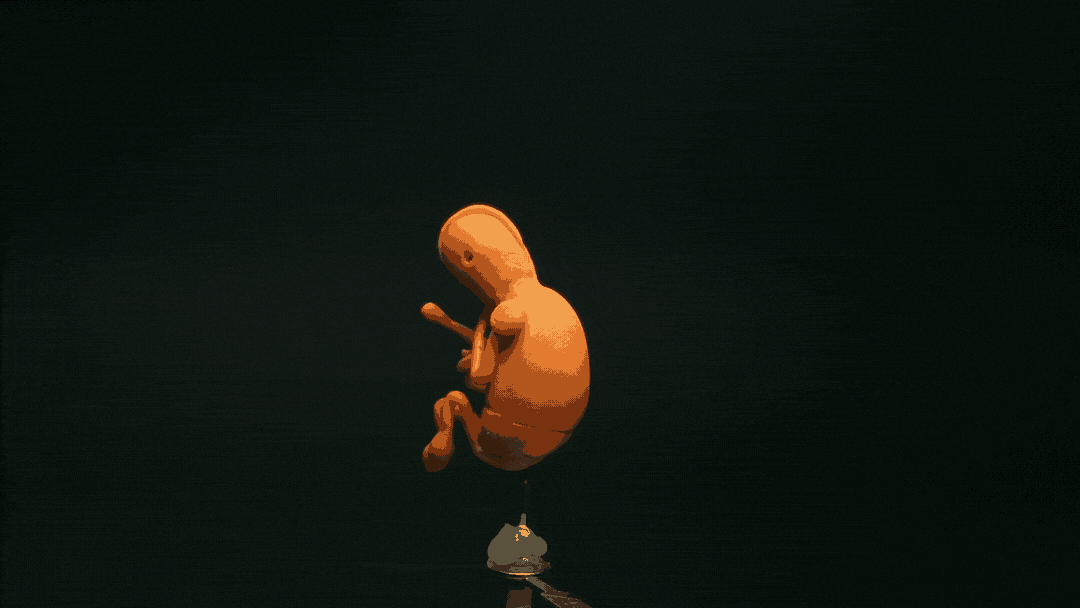 Process_1.gif