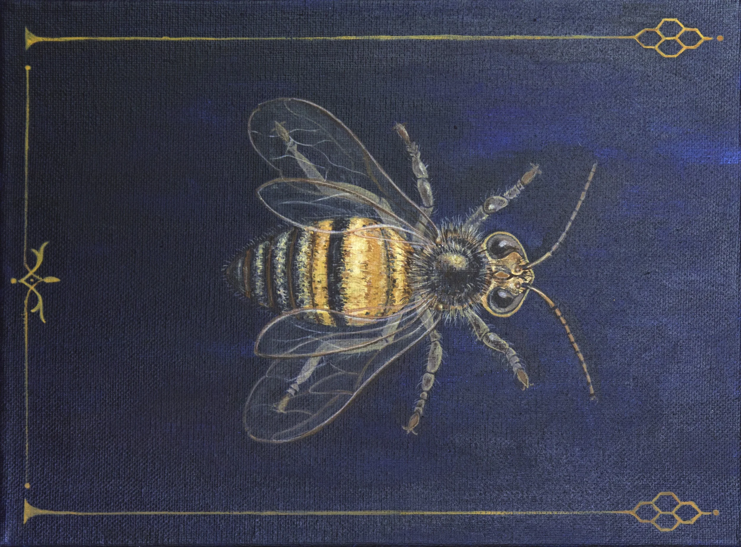 First U.S. Show Today