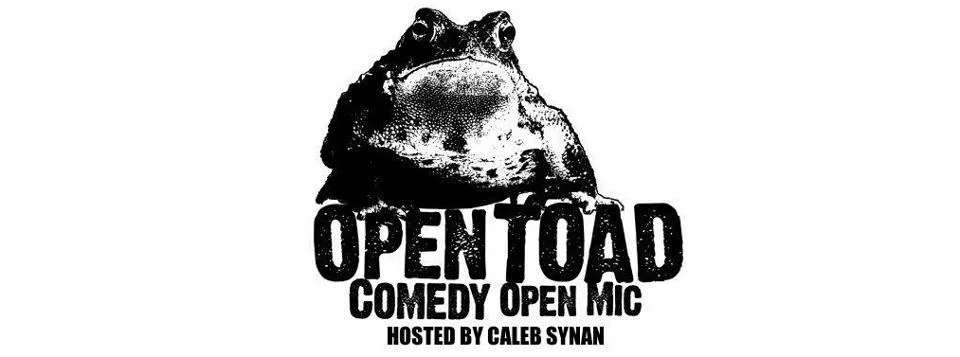 Stand-Up @ OpenTOAD