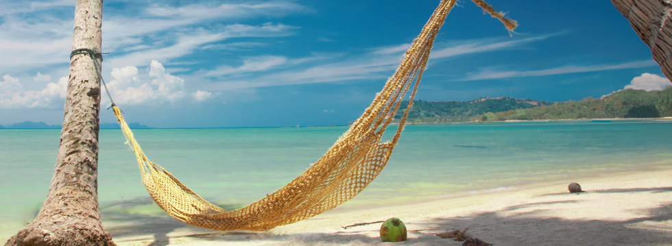 BANNER-TROPICAL01.png