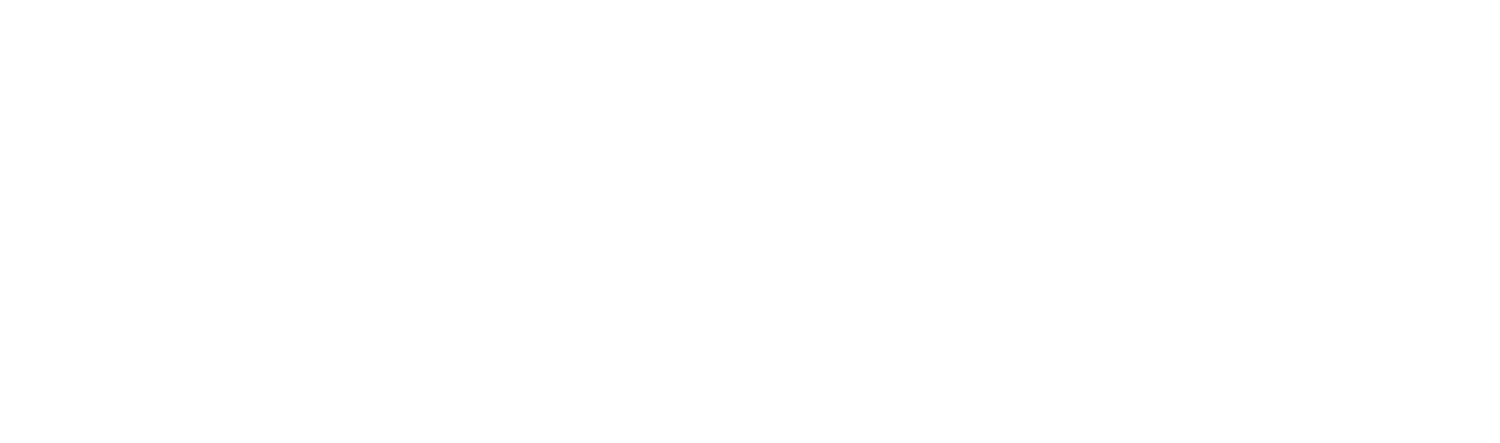 The TravelPorter