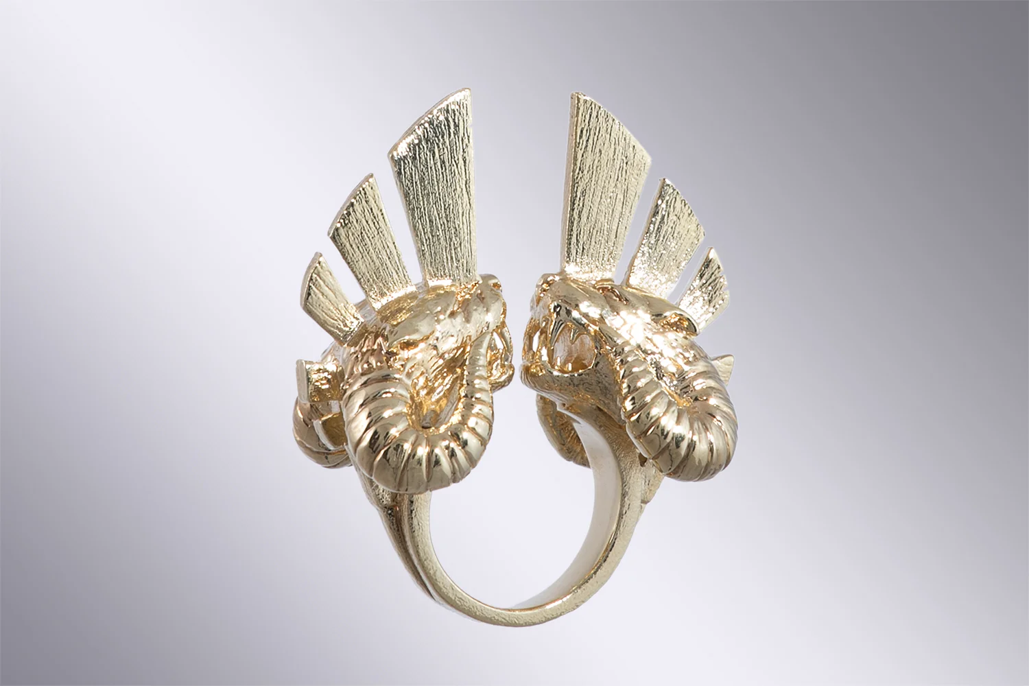 LFDF_YJ2016_Hycliad_Ring_01 copie - copie.jpg