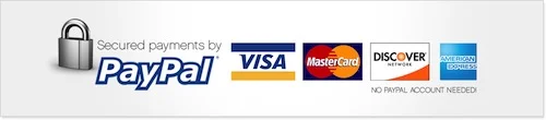 banner paypal.jpeg