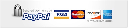 banner paypal.jpeg