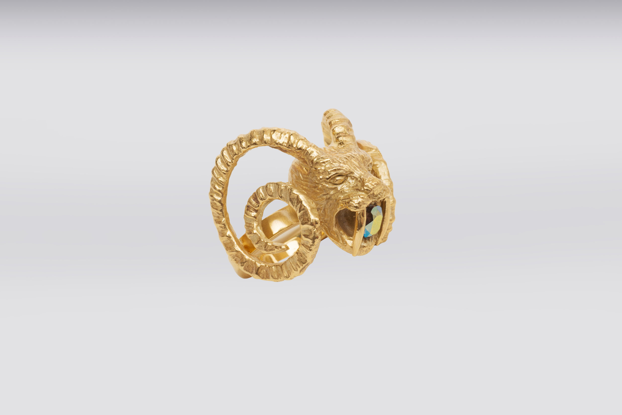 la-fiancee-du-facteur-ring-Ri08_01.jpeg