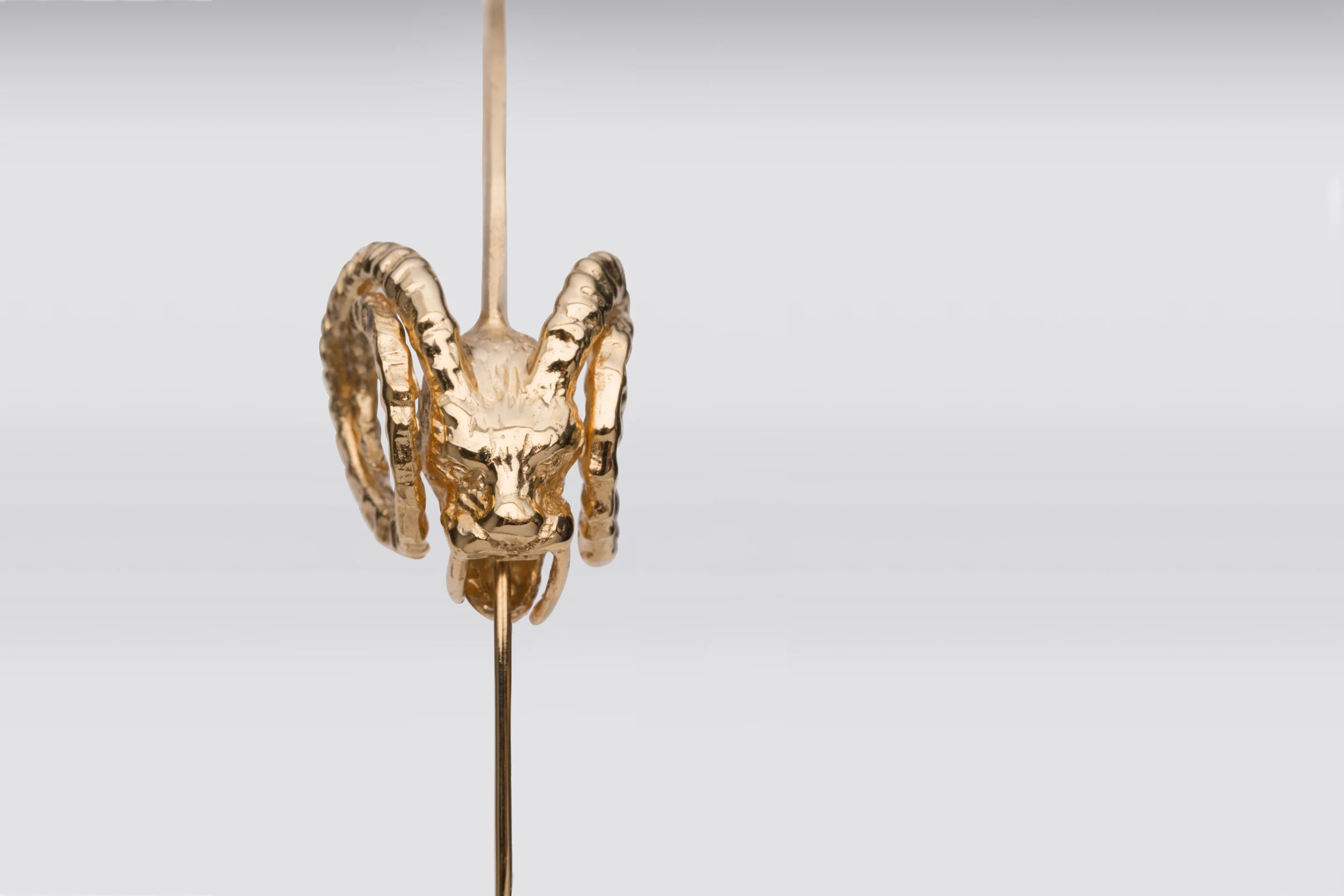 Hycliad Earrings (#2)