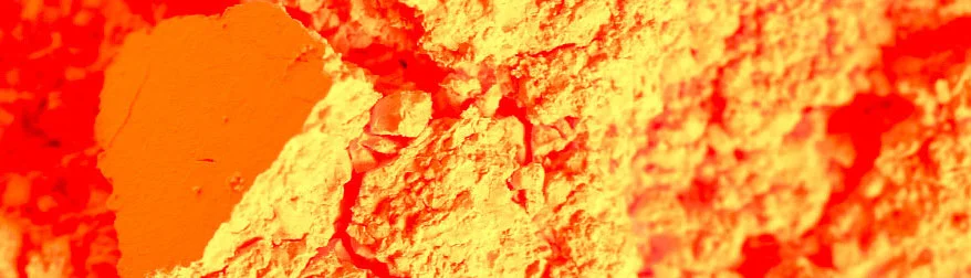 NuclearOrangePigment_mic215_Detail.jpg