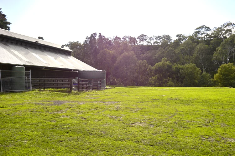 farm7.jpg