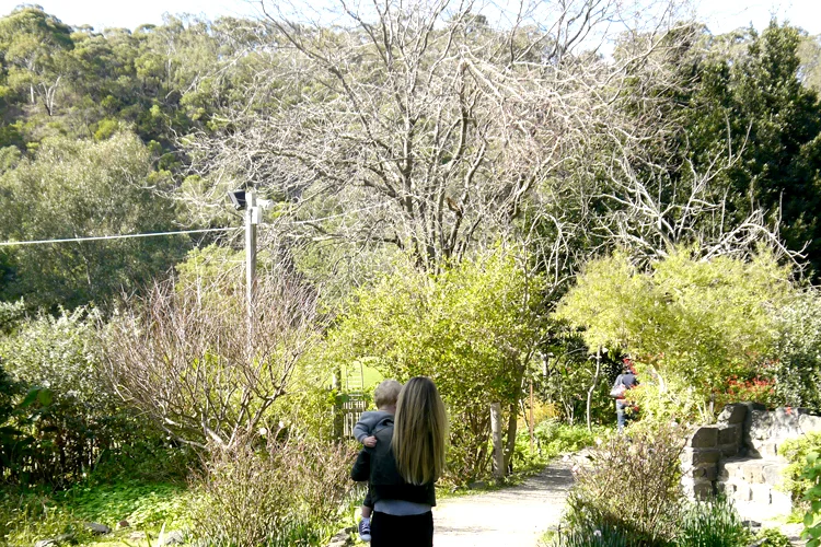 Fresh country air, AMAZing