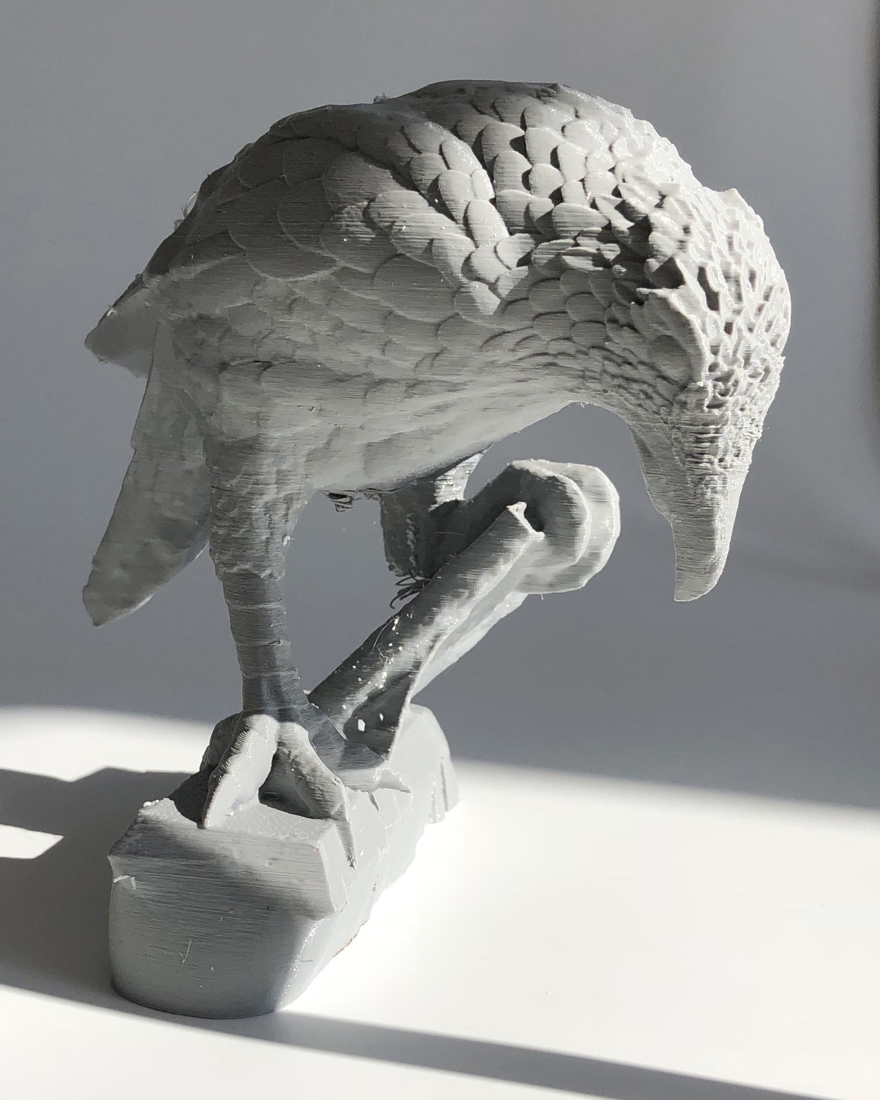 Rook01.jpg
