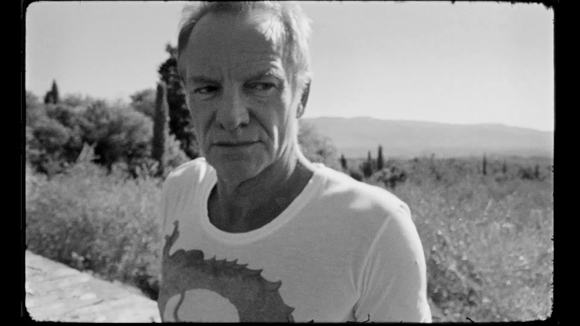 sting_new_aspot.jpg