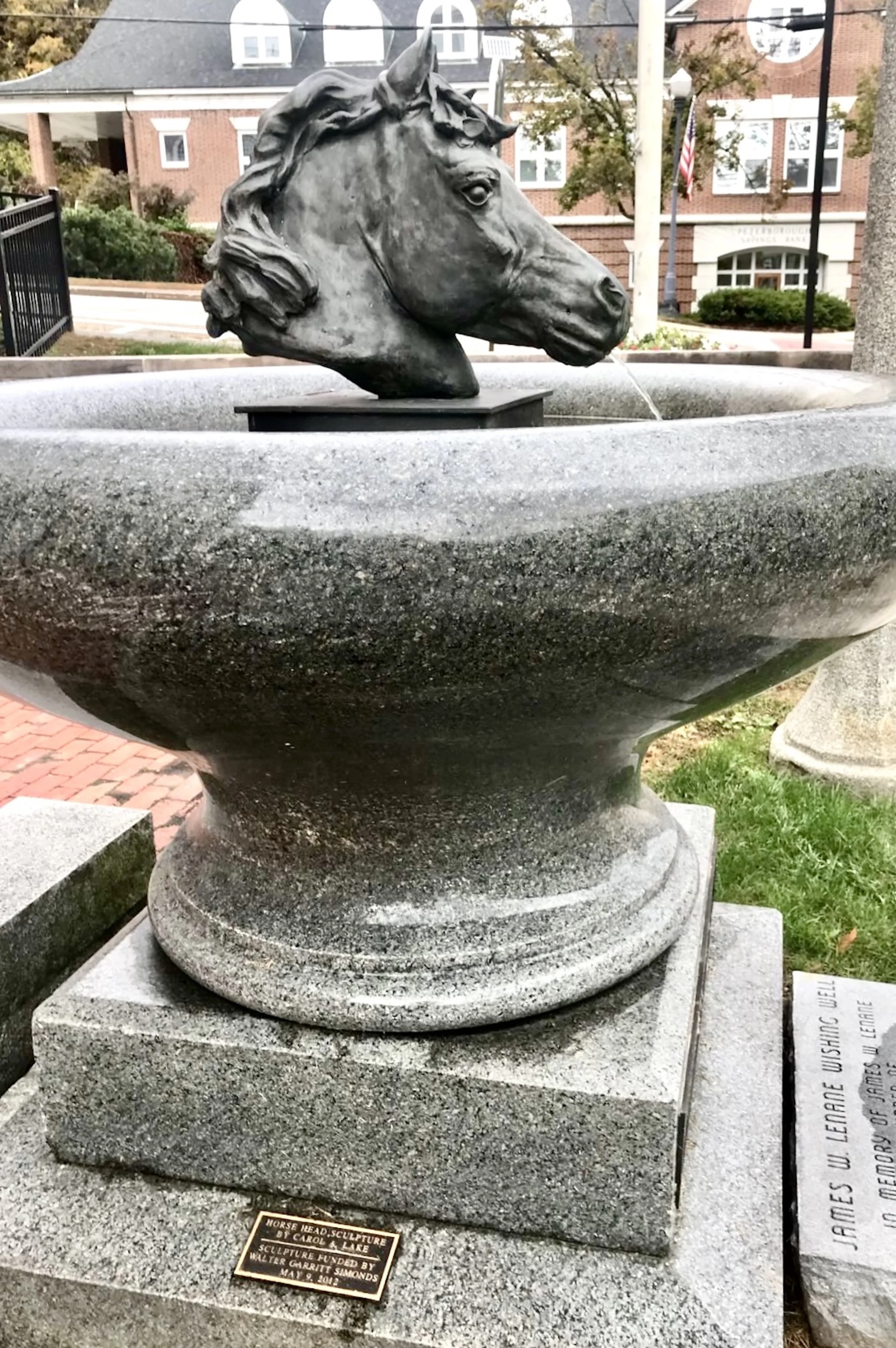 Peterborough horse head right 3.jpg