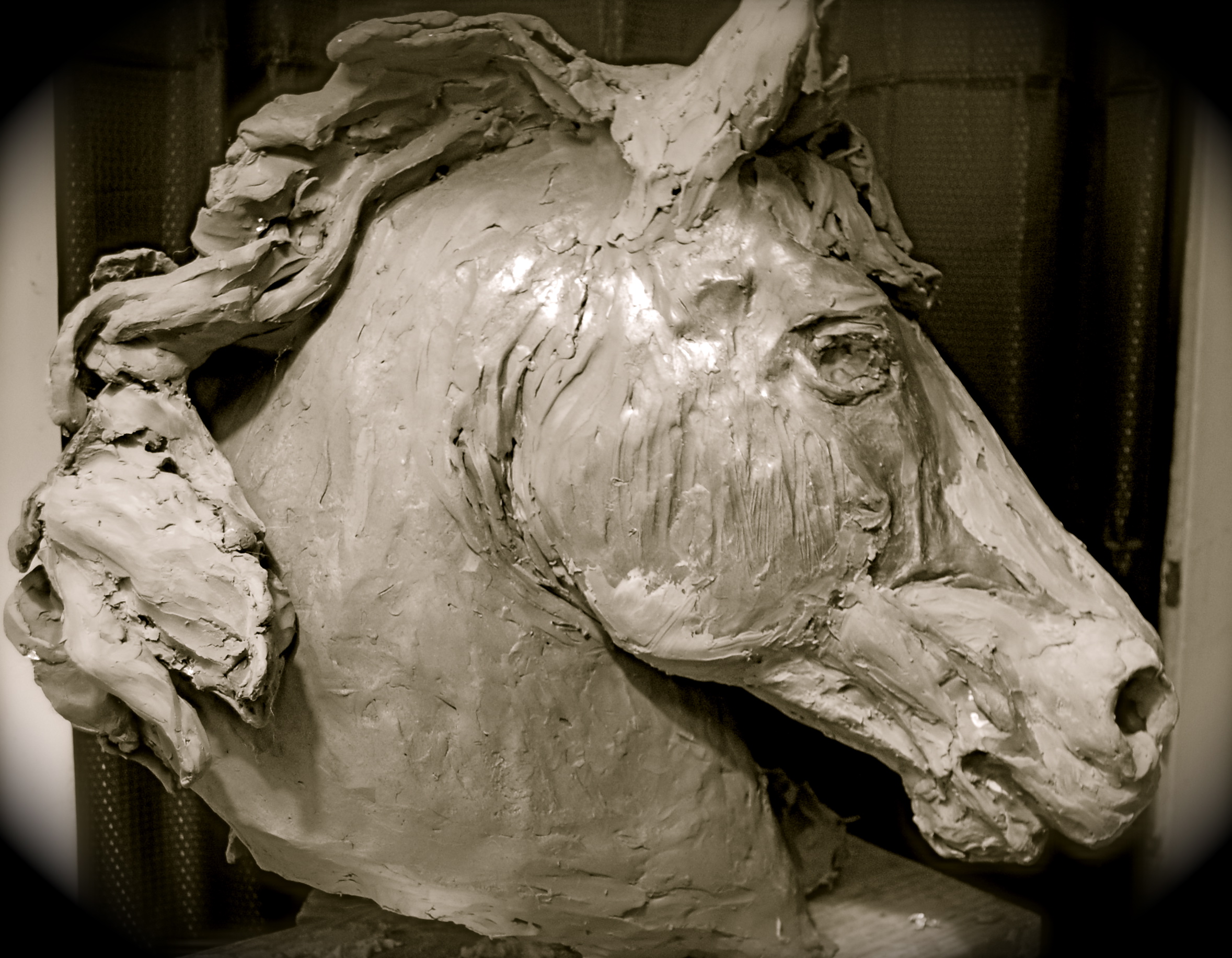 peterborough horse head.JPG