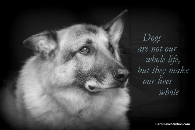 Cynthia 11-8-08  -4950.JPG