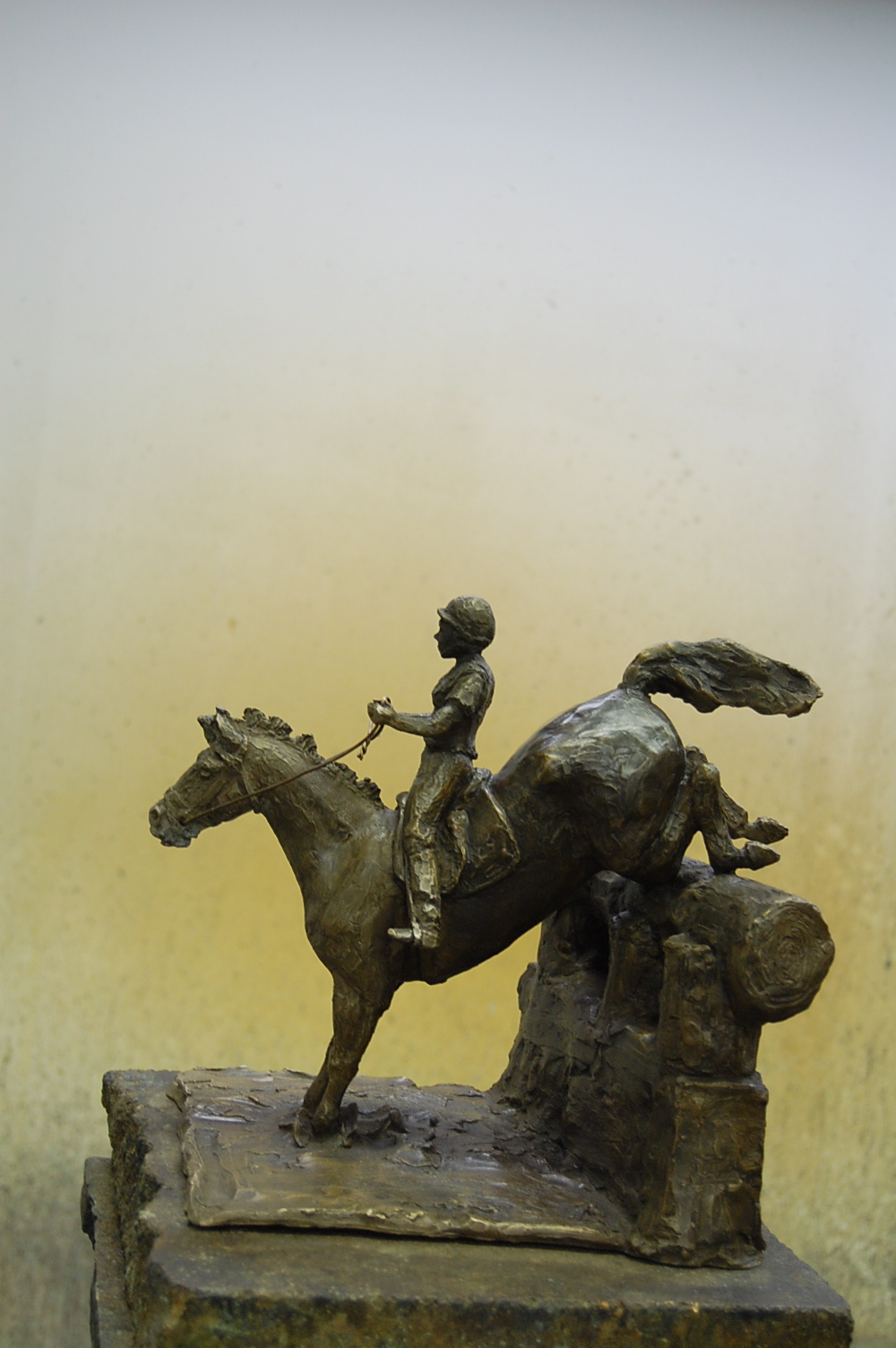 jumper bronze left.jpg