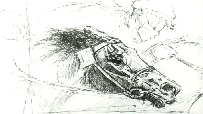 racehorse1 copy.jpg
