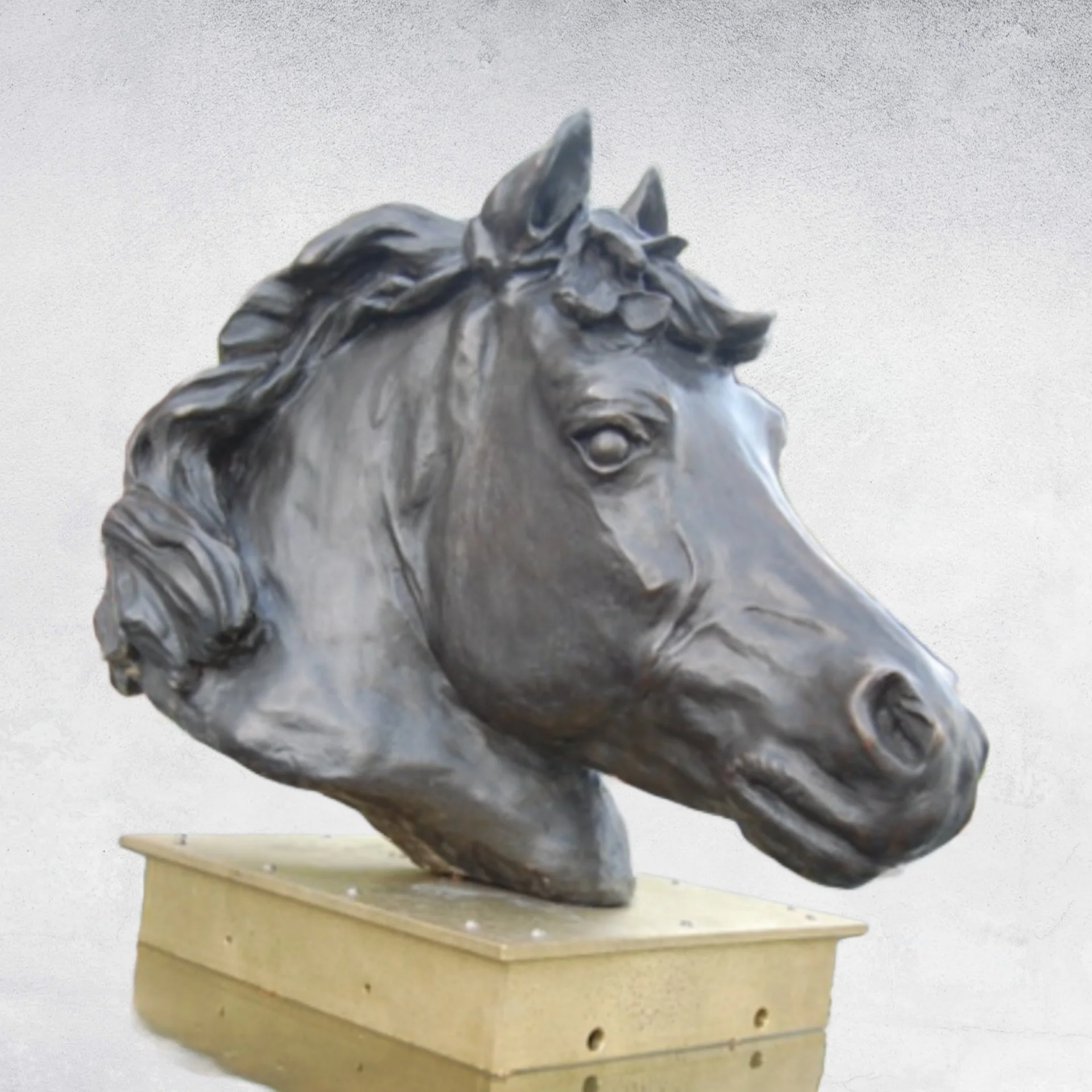 bronze horse head w grey background.jpeg