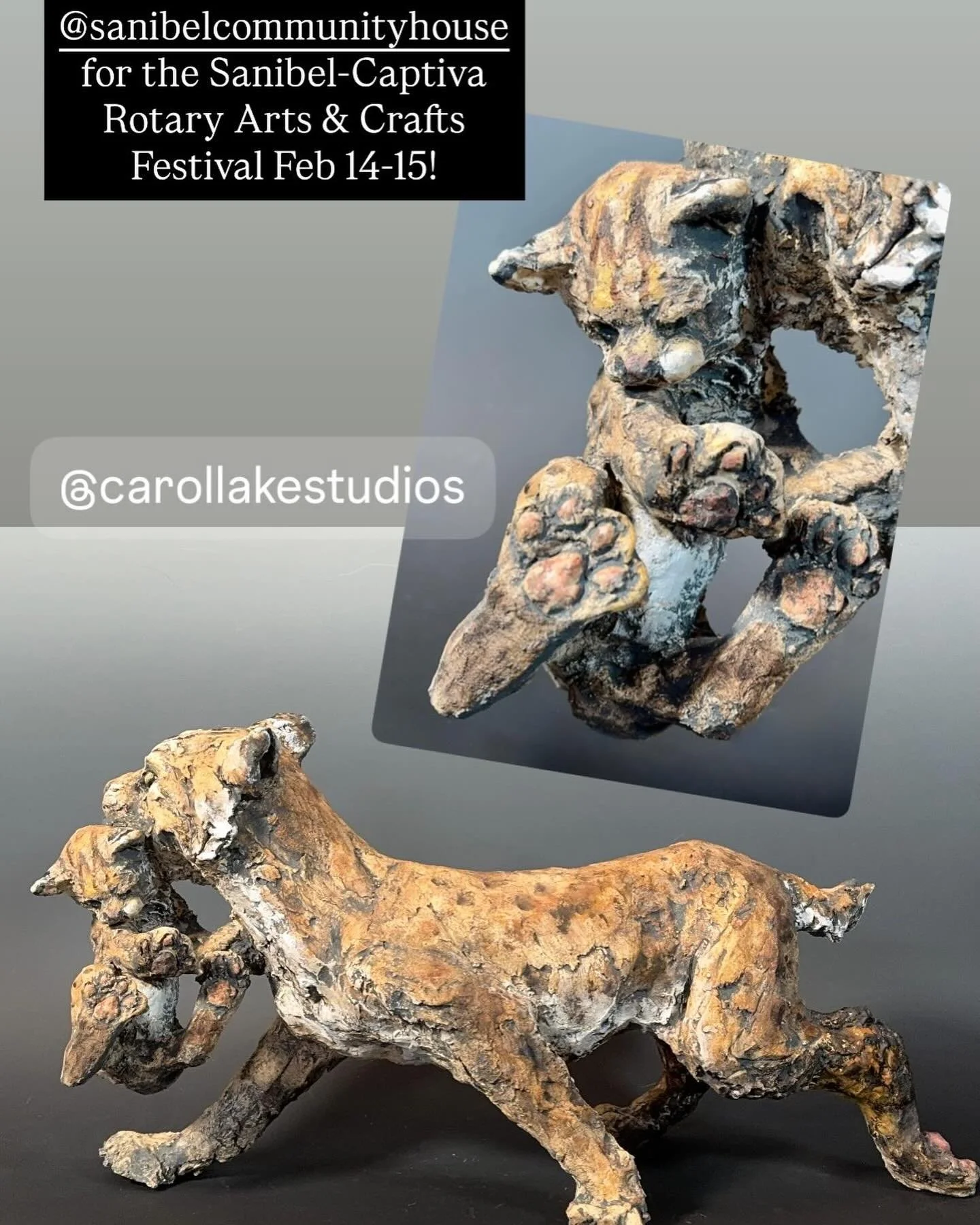 Come see my latest large, ceramic sculpture, a mother Florida bobcat and her two kittens at the Sanibel- Captiva, Rotary arts and crafts fair February 14 through the 15th at the Sanibel community house! #ceramicsculptures #floridabobcat #bobcat #sani