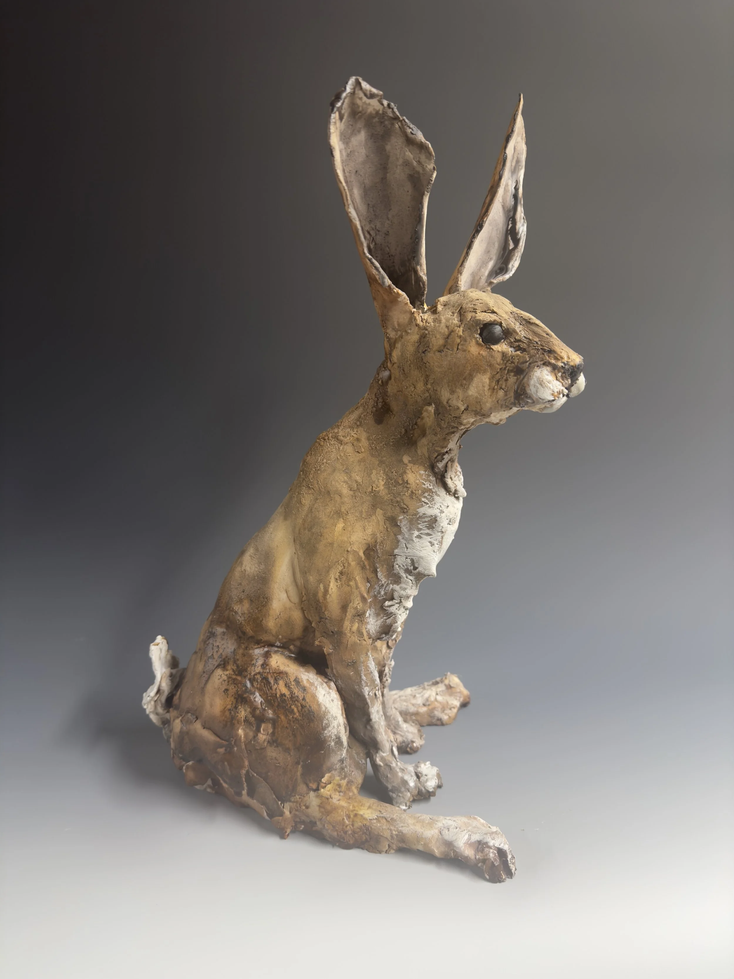 Hare right facing.jpeg