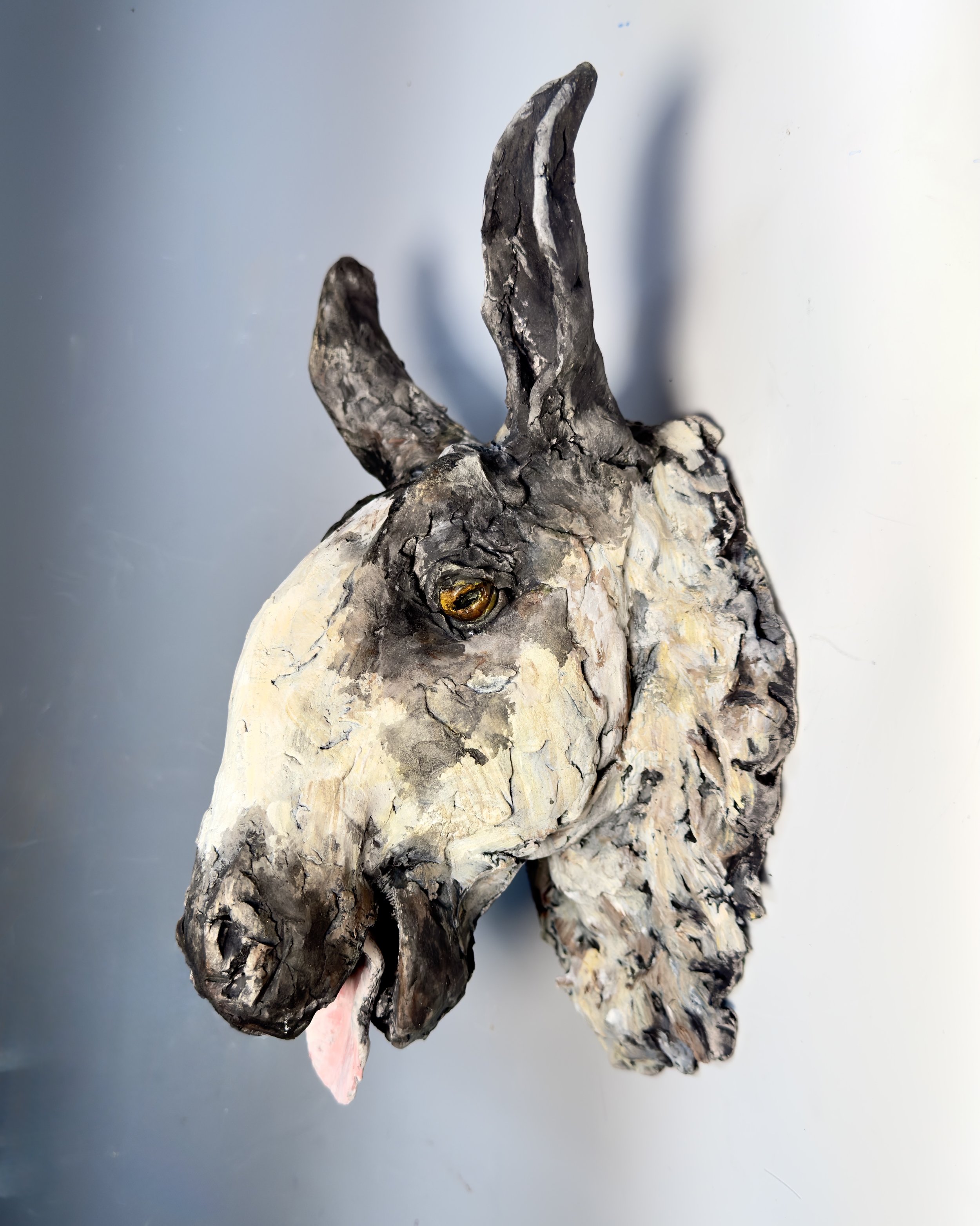 Sheep head wall hanging.jpg