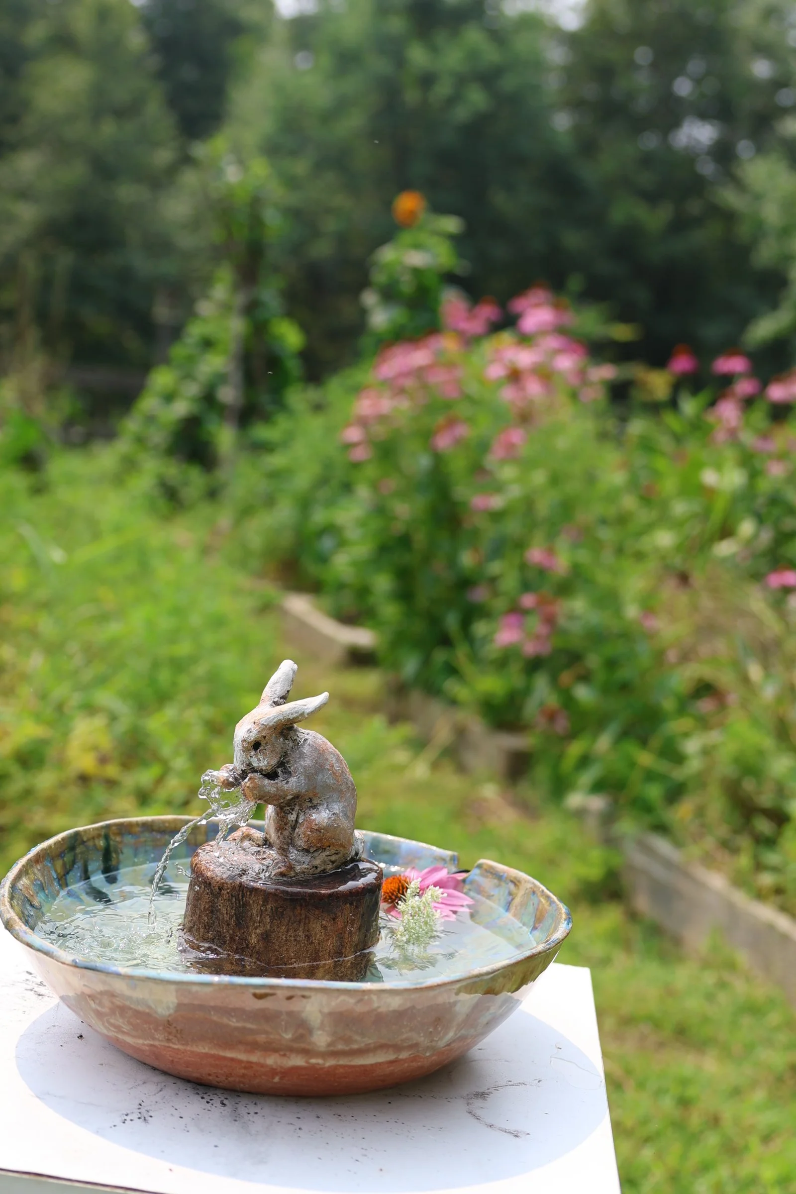 bunny fountain flowers.JPG