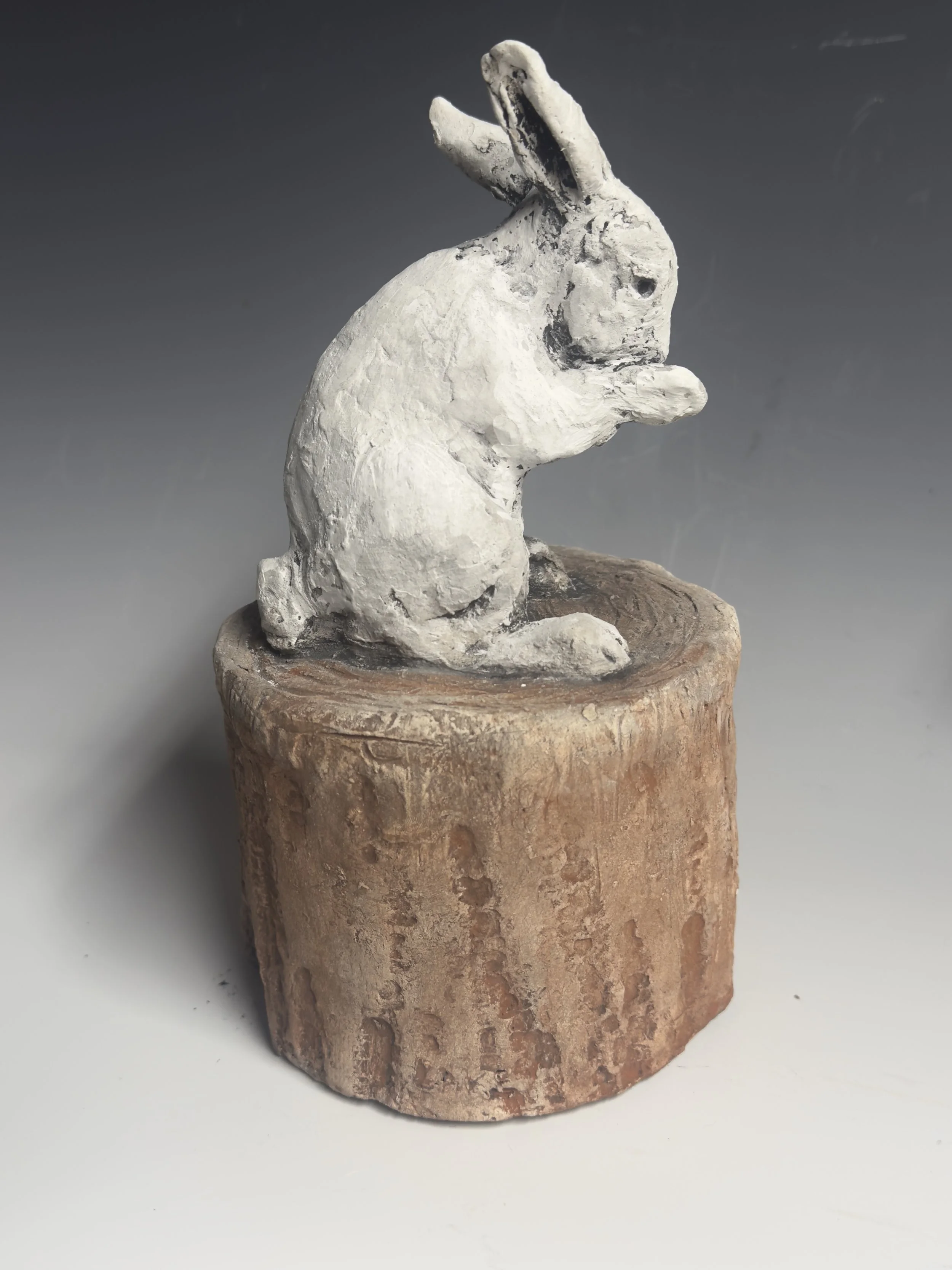 Bunny right.jpeg