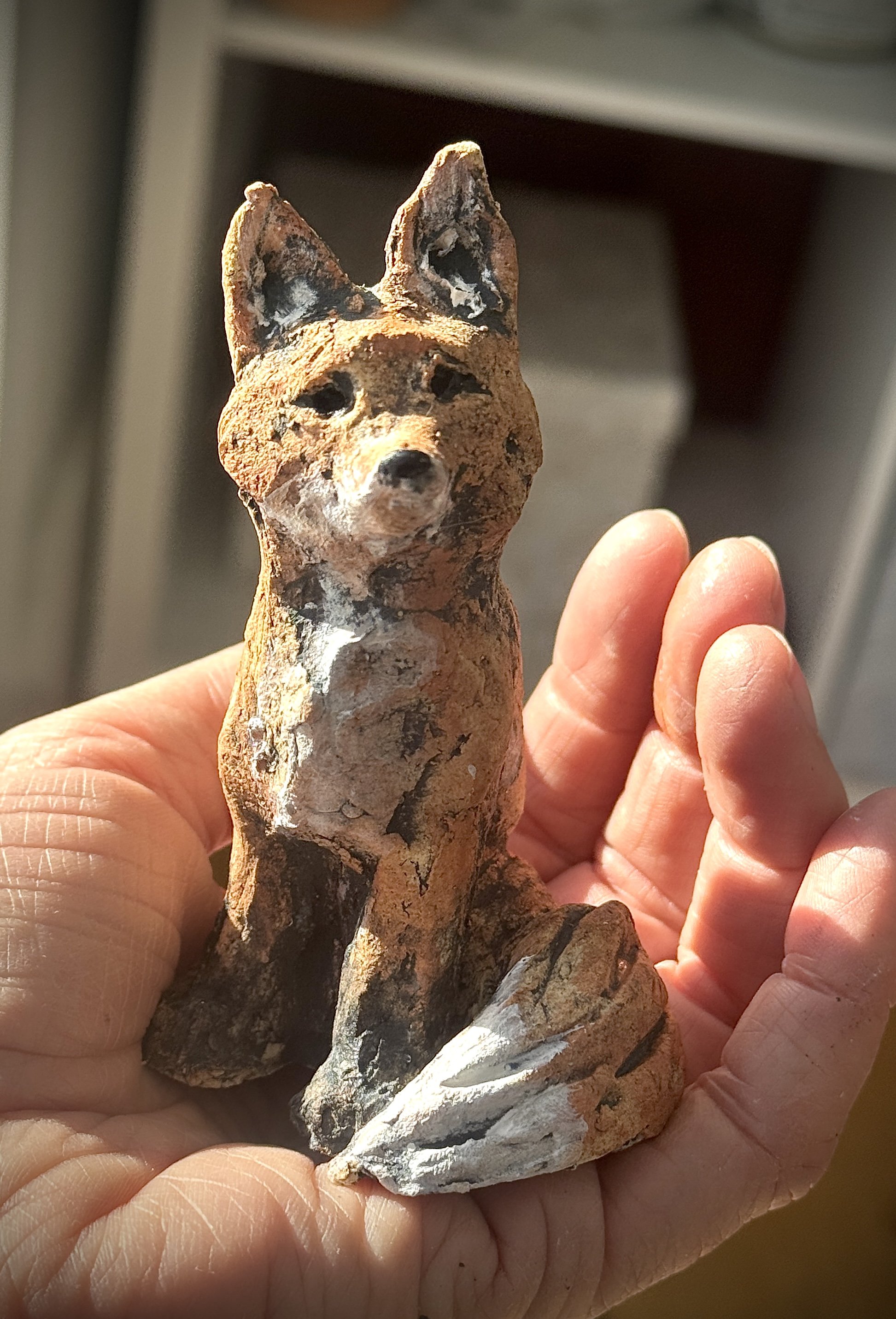 Foxes of New England