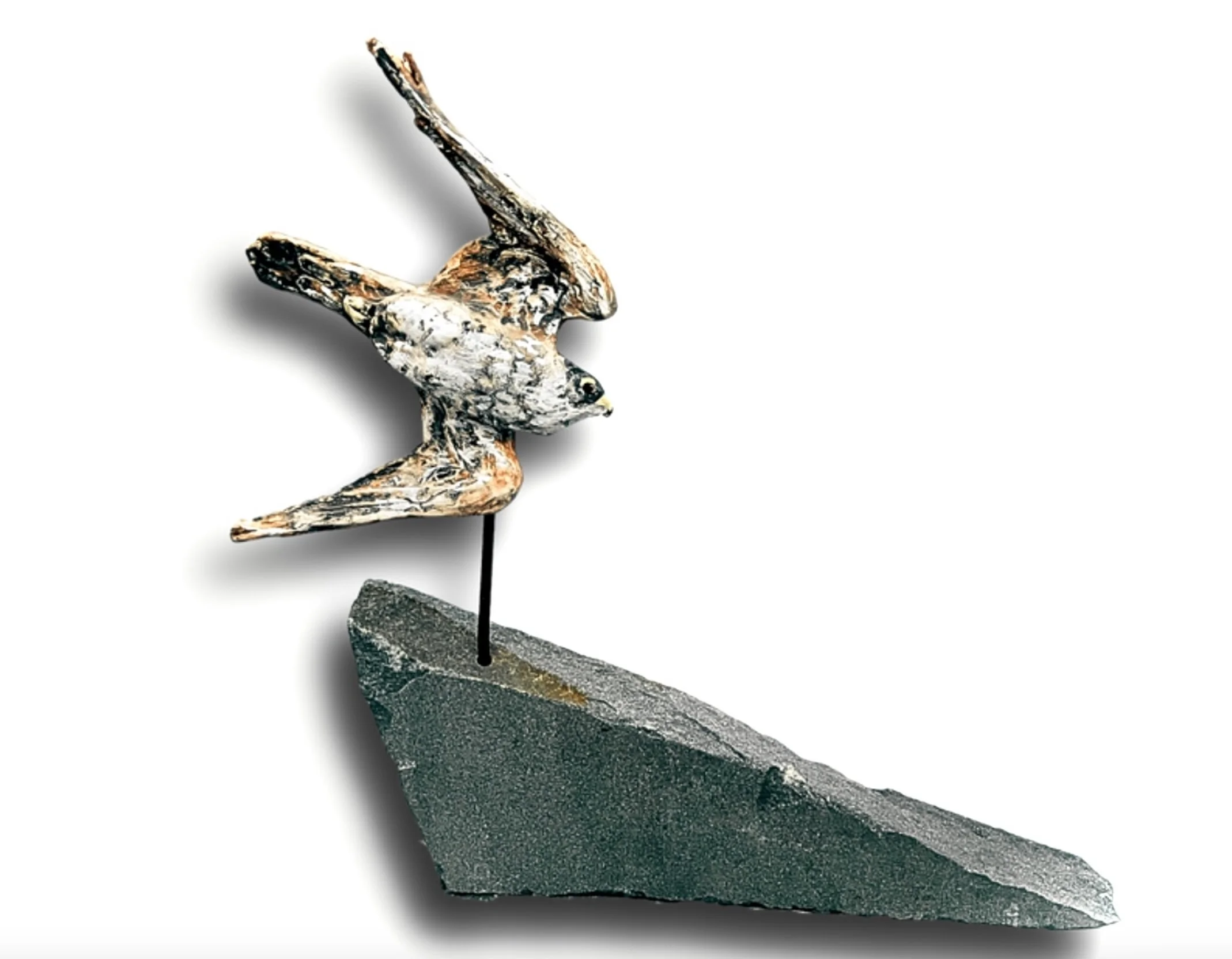 Peregrine falcon.jpg