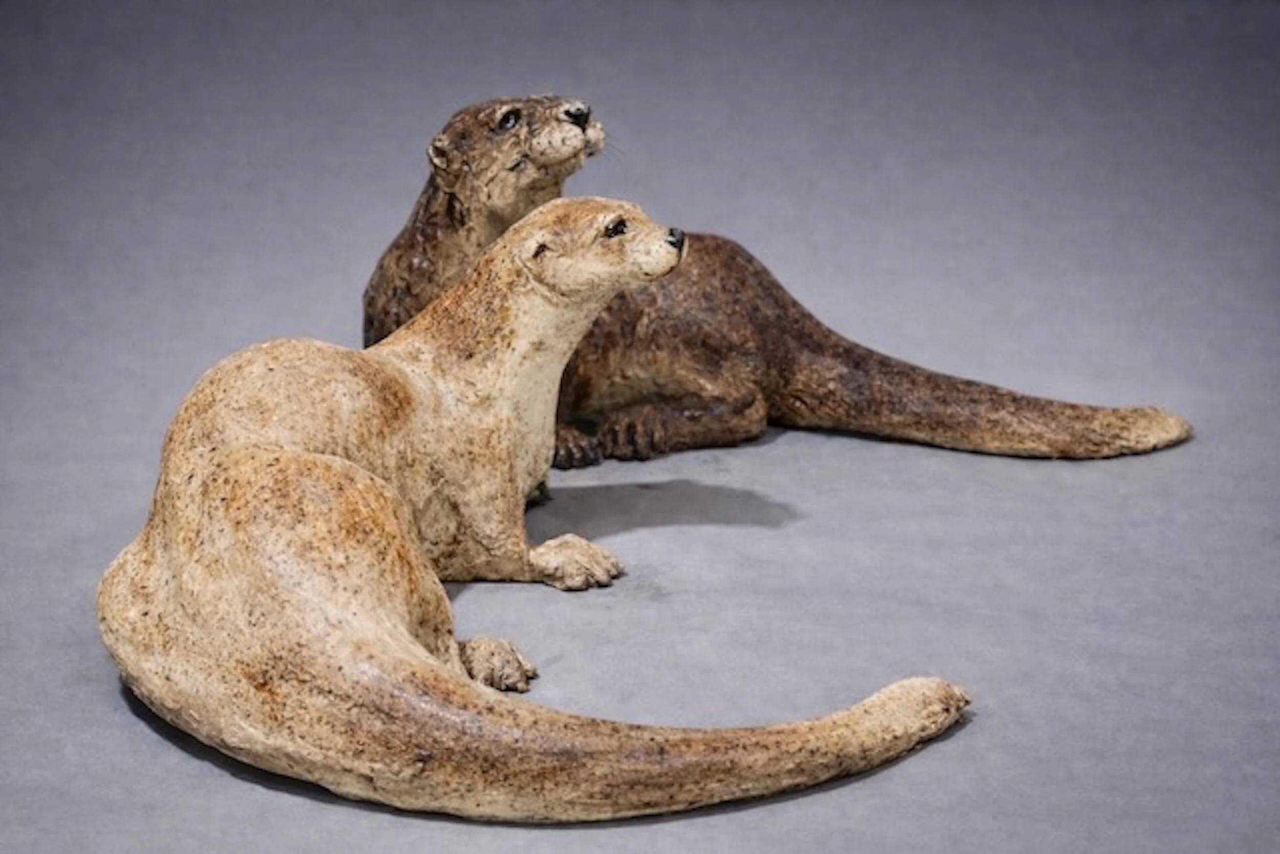 River Otter Pair.jpeg