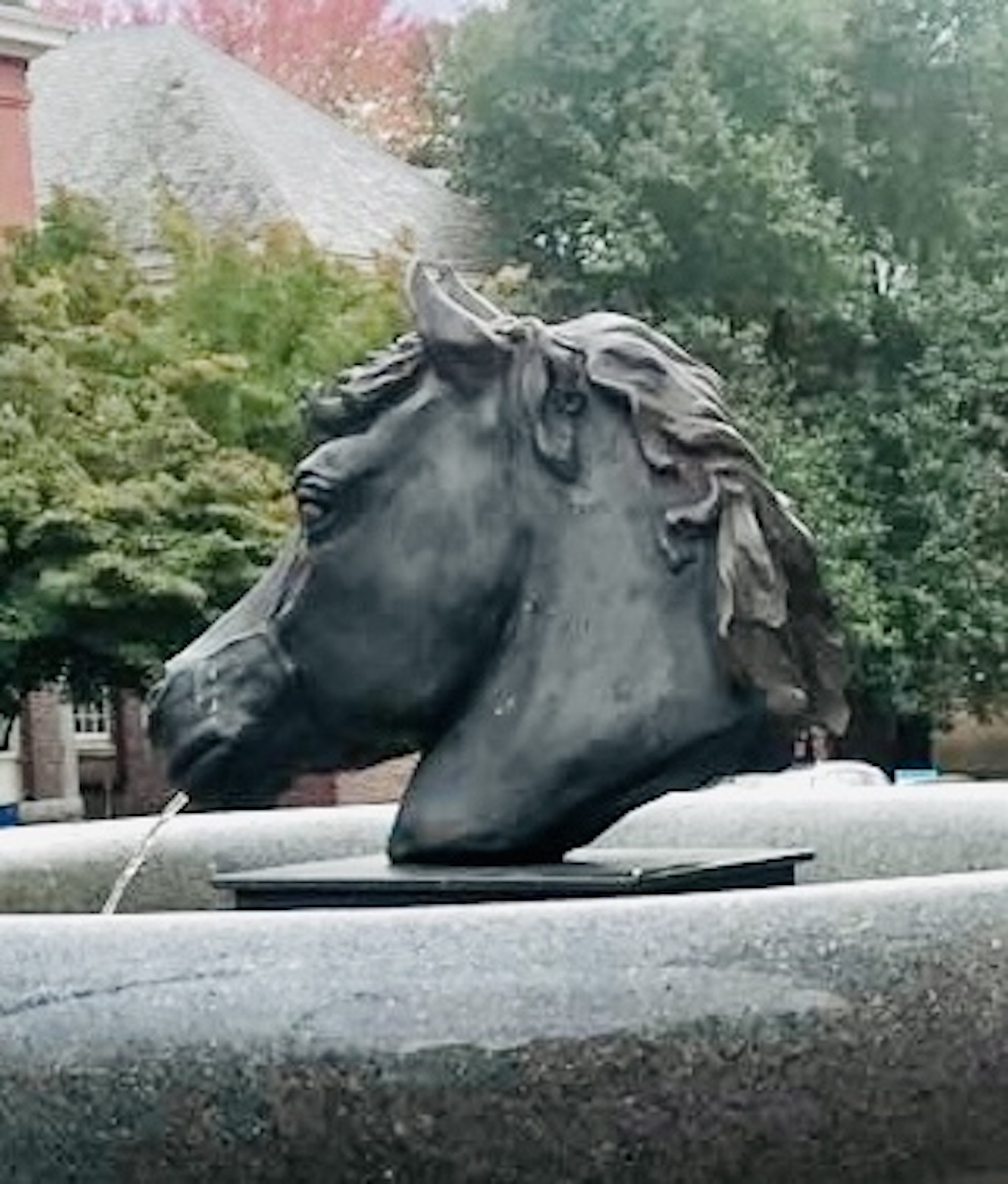 Peterborugh horse head left 2.jpg
