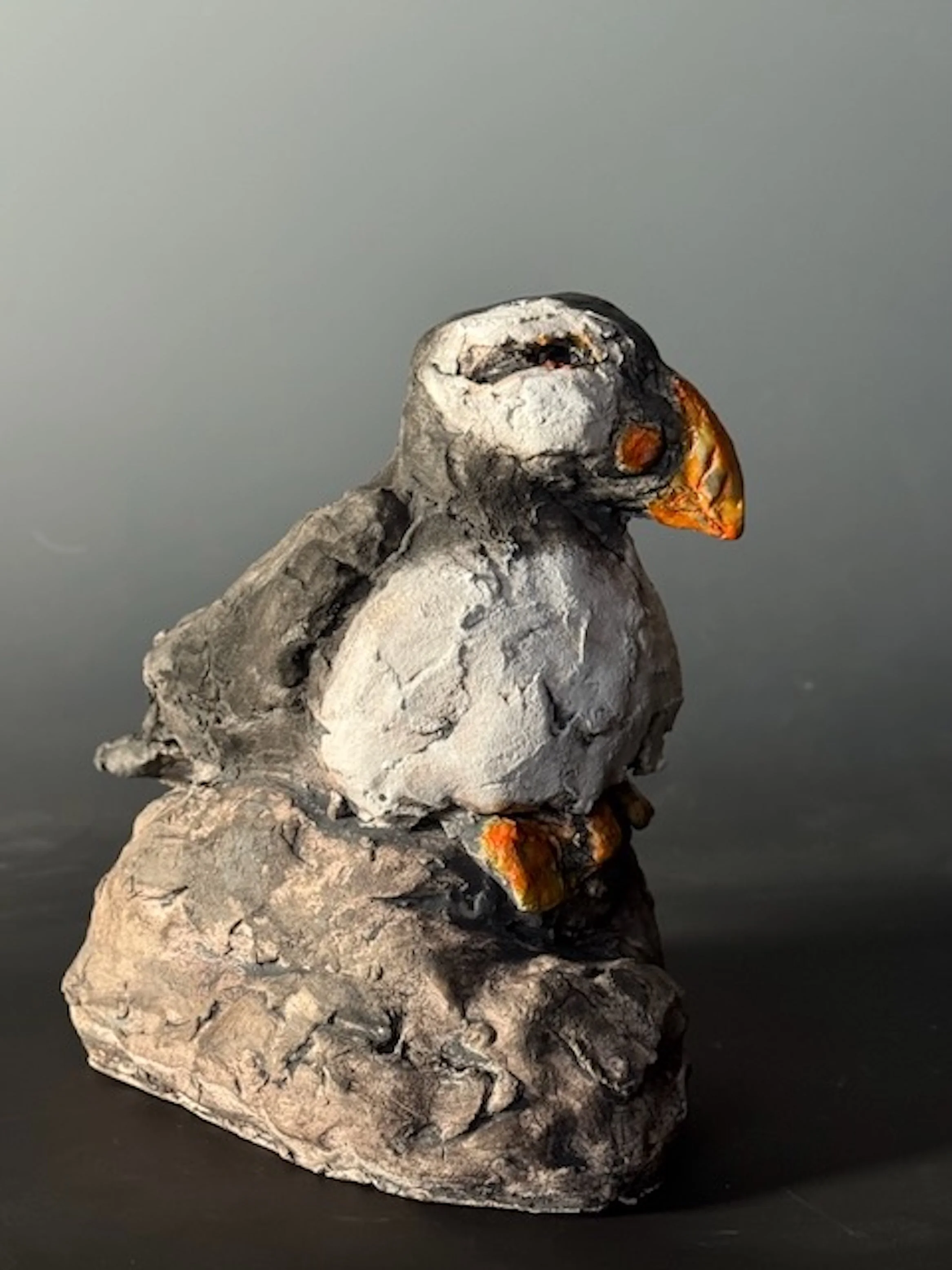 Puffin_view2.jpg
