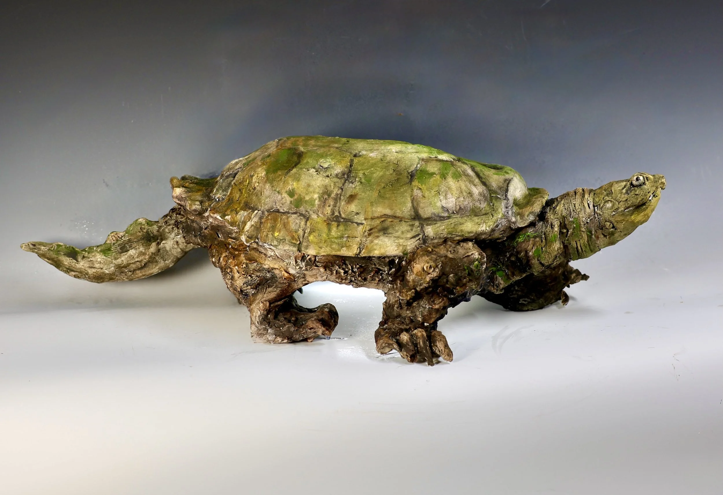 Lake_Snapping Turtle ceramic.jpg
