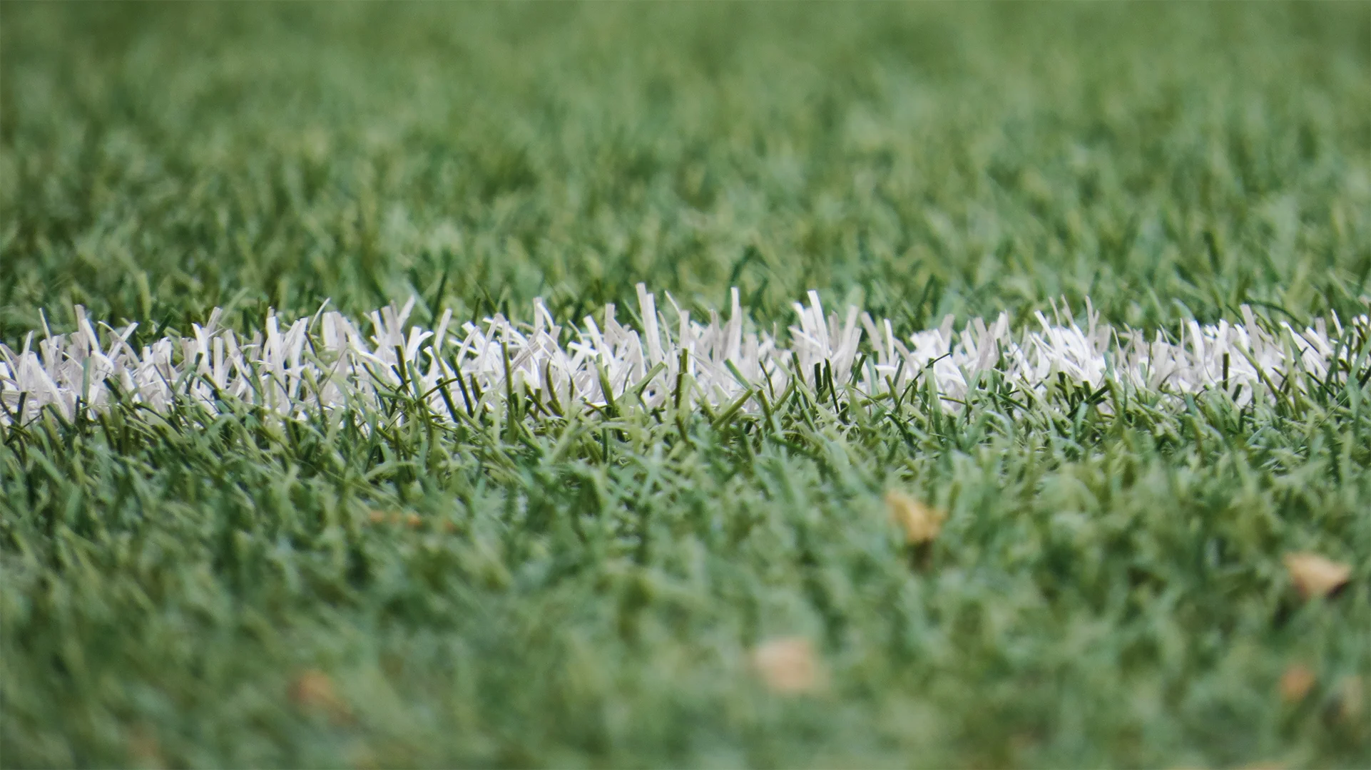 Football sex abuse allegations