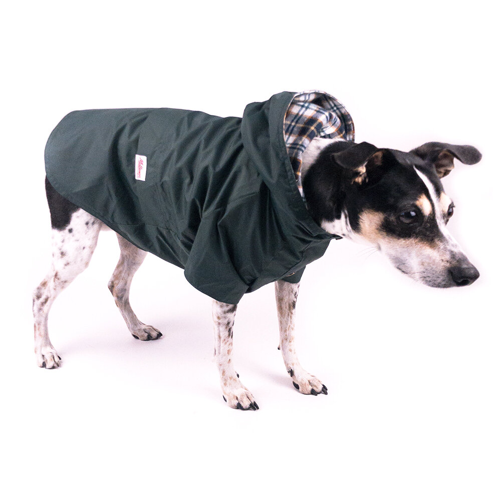 dog rain jacket