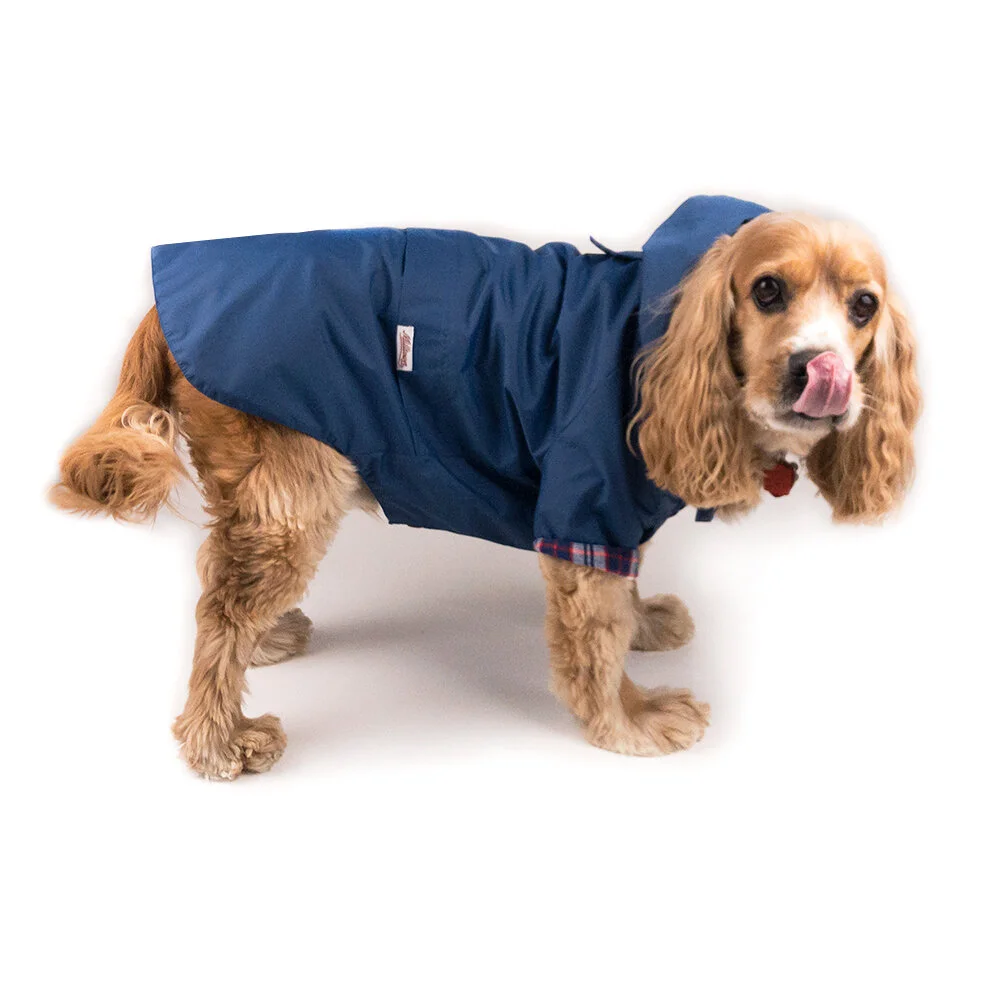 dog rain jacket