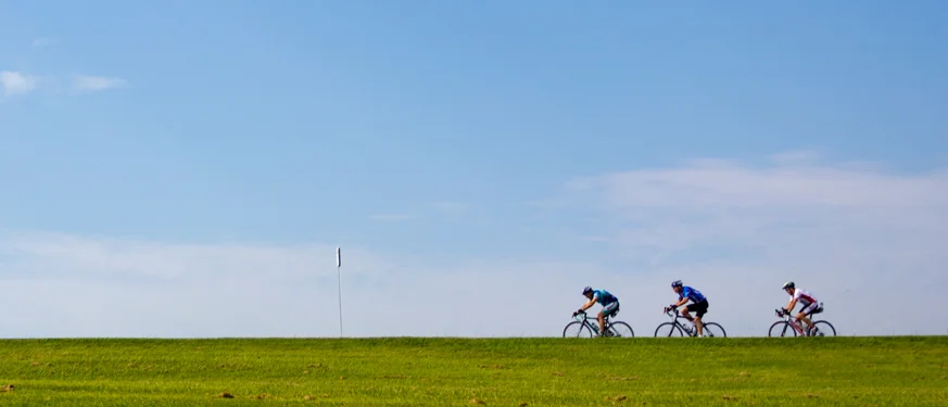 Bike and Ped.jpg