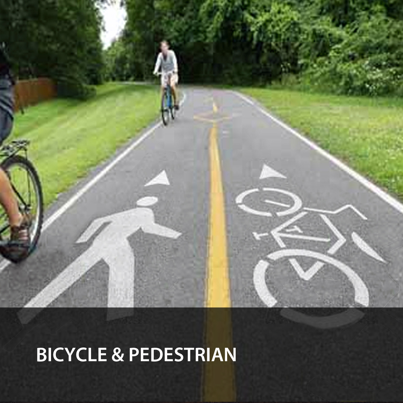 BICYCLE & PEDESTRIAN