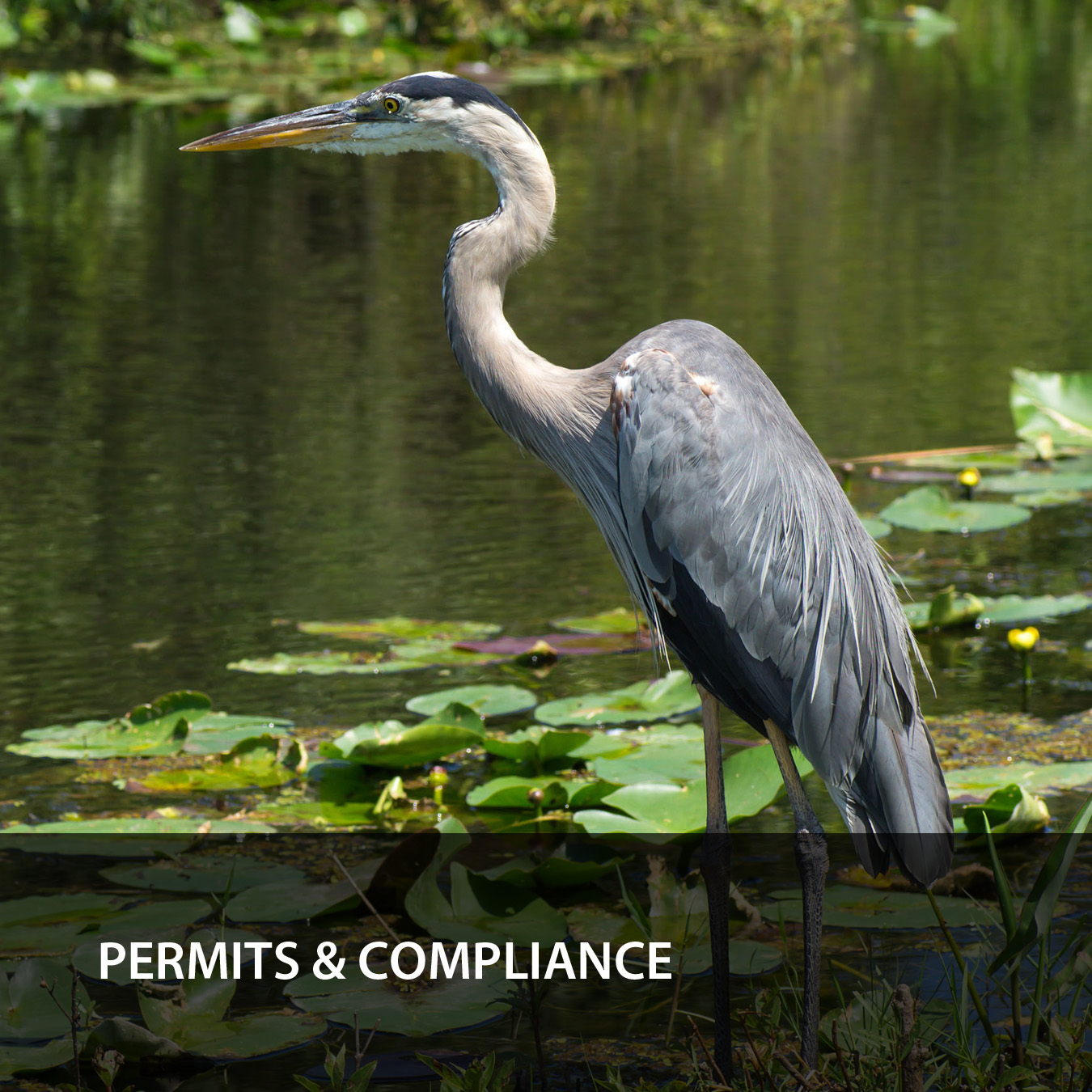 Permits & Compliance