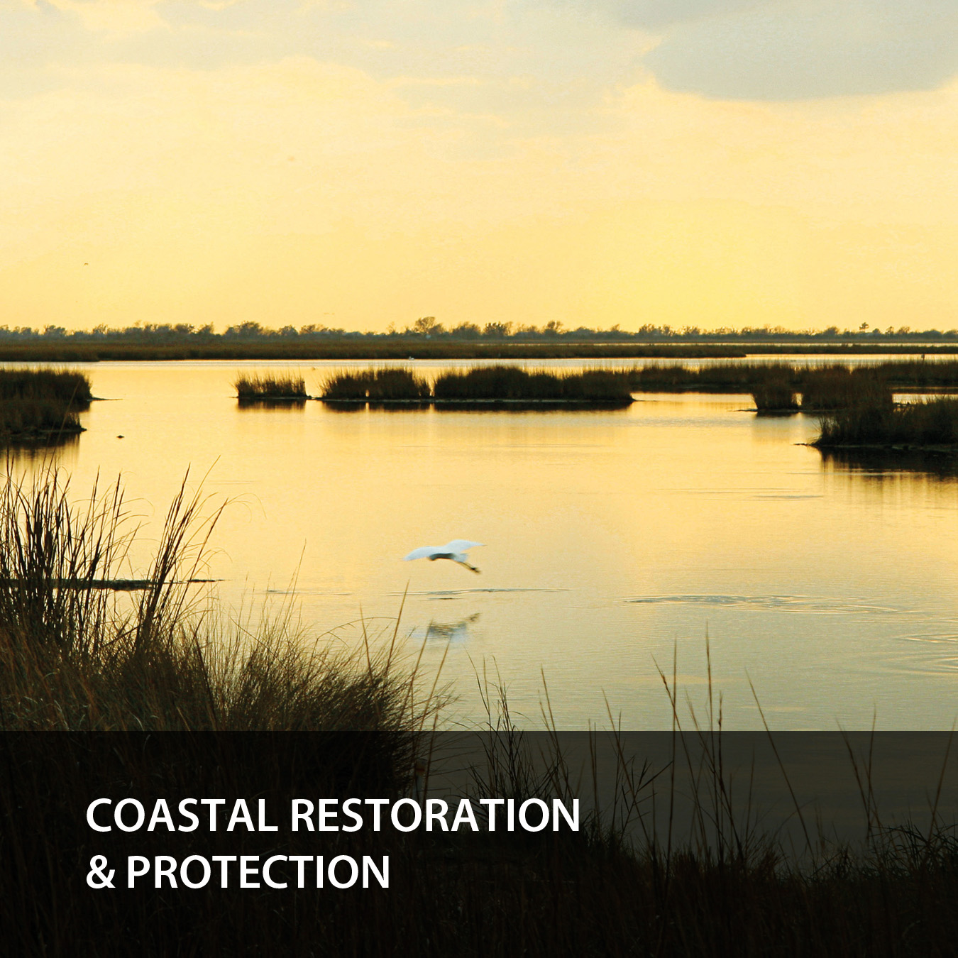 Coastal Restoration & Protections