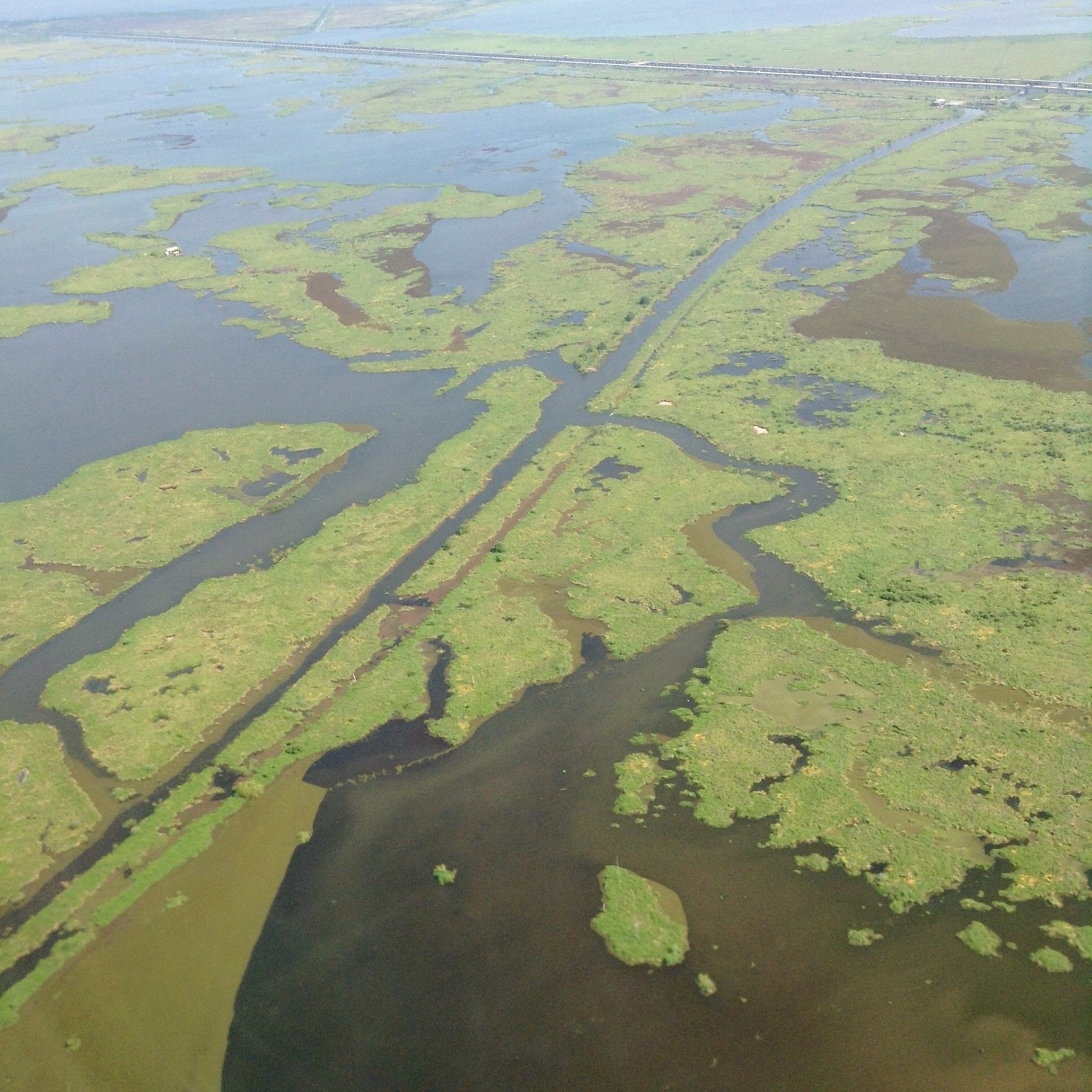 Aerial+of+Wetlands.jpg