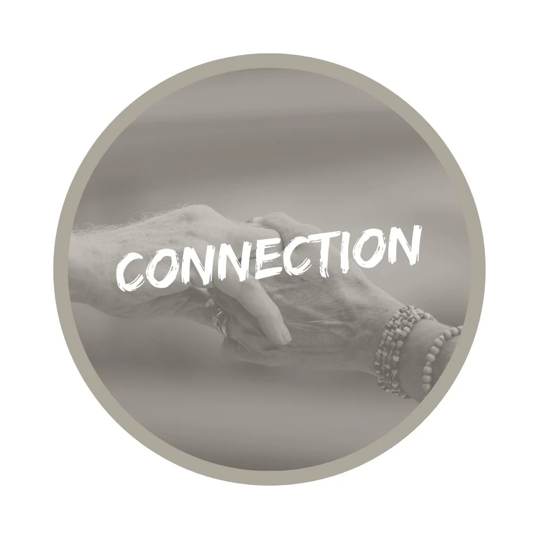 Anterris Connections.jpg