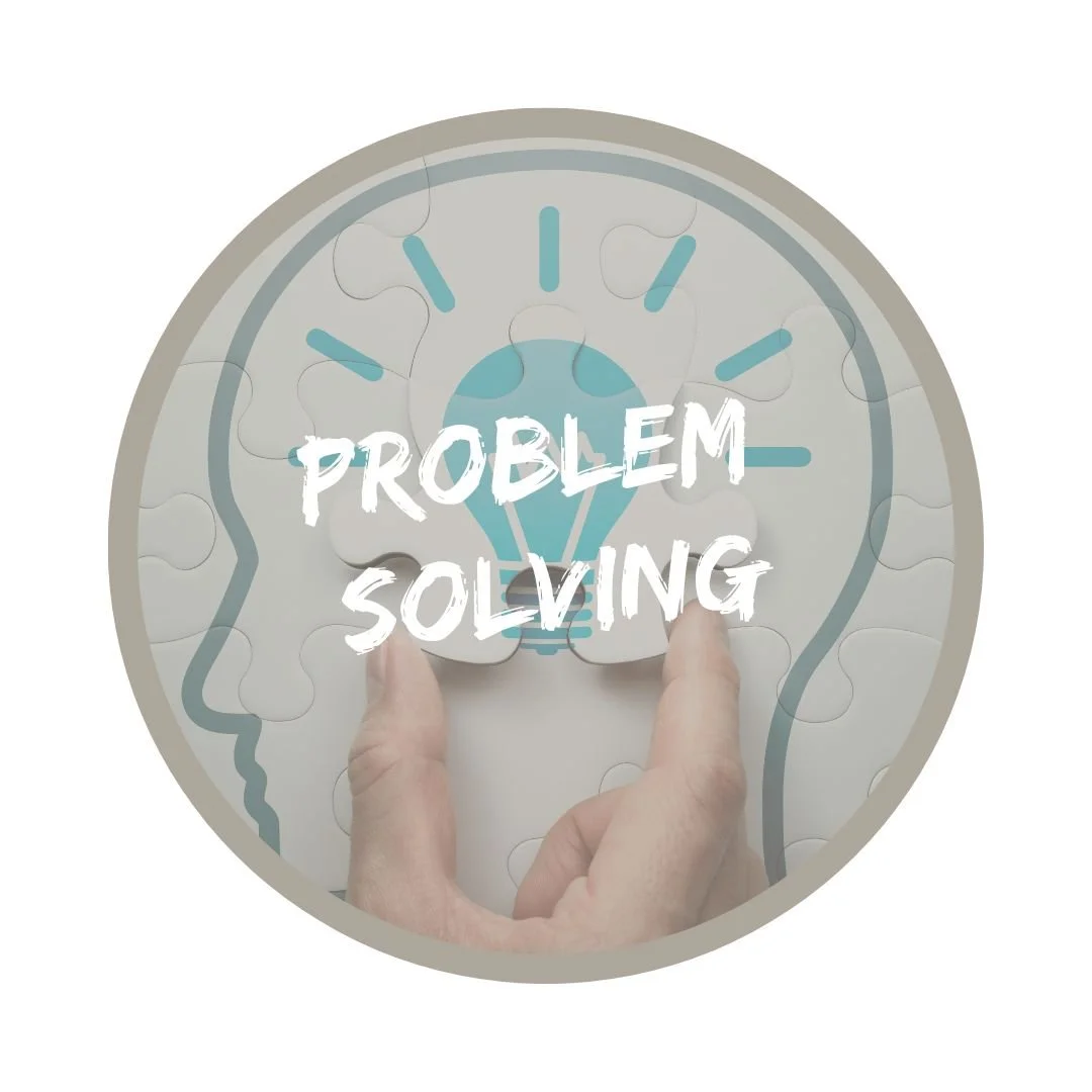 Anterris problem solving.jpg