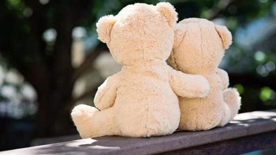 One teddy holding another, both facing away. Symbolizing receiving support for old wounds from yourself or others and taking space to grieve them.