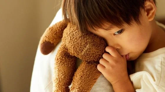 young boy sucking thumb and holding bear indicating learned behavior in families.