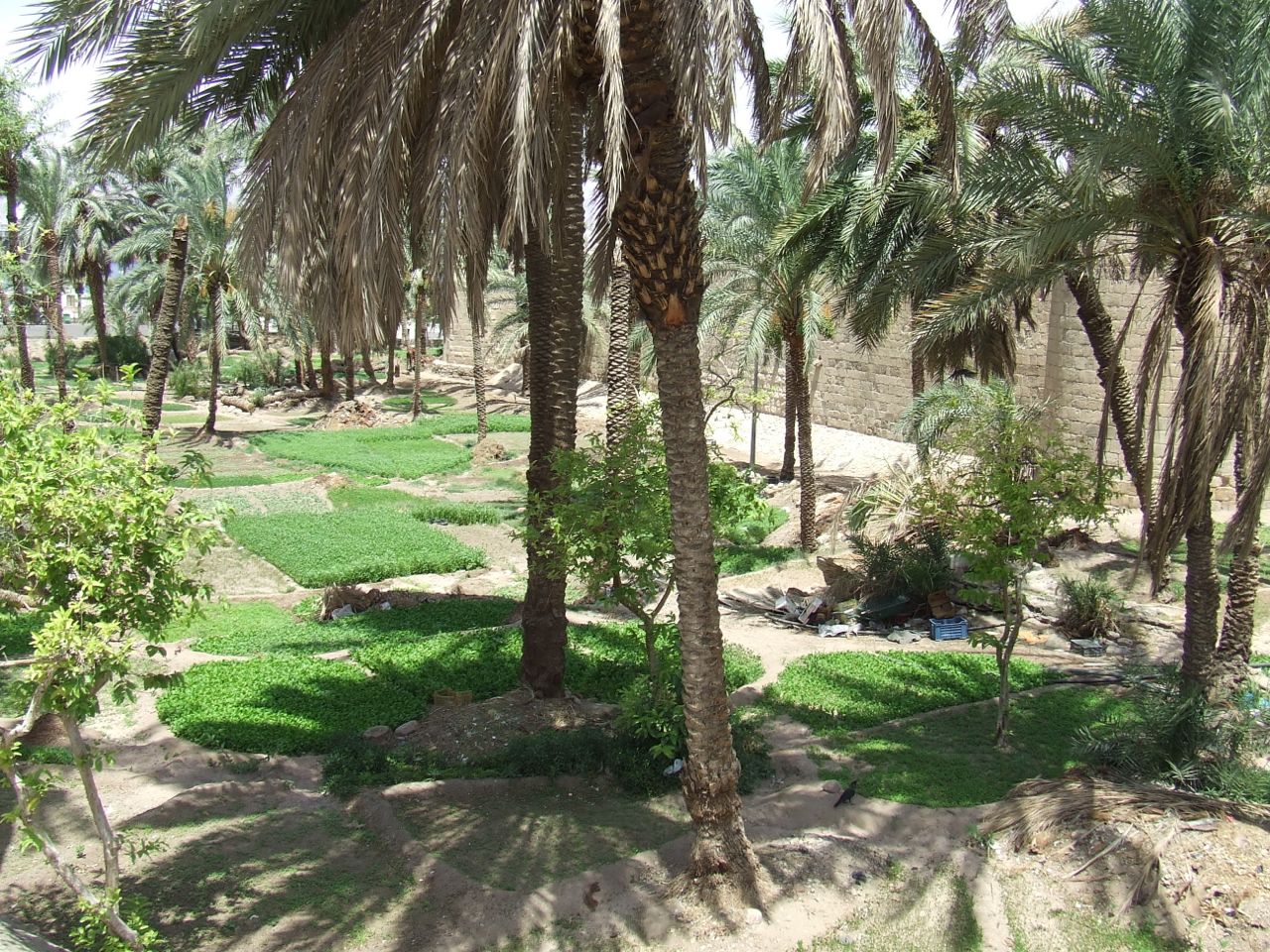 Aqaba Historic Fort, Jordan