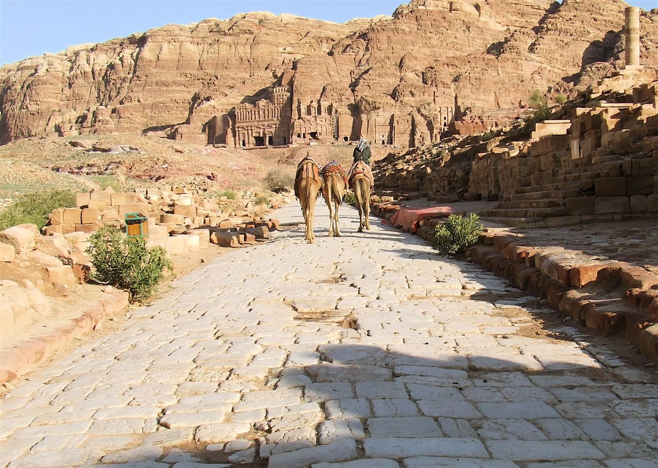 Camel Rides in Petra, Jordan