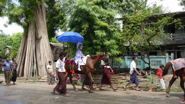 P1030710.jpg