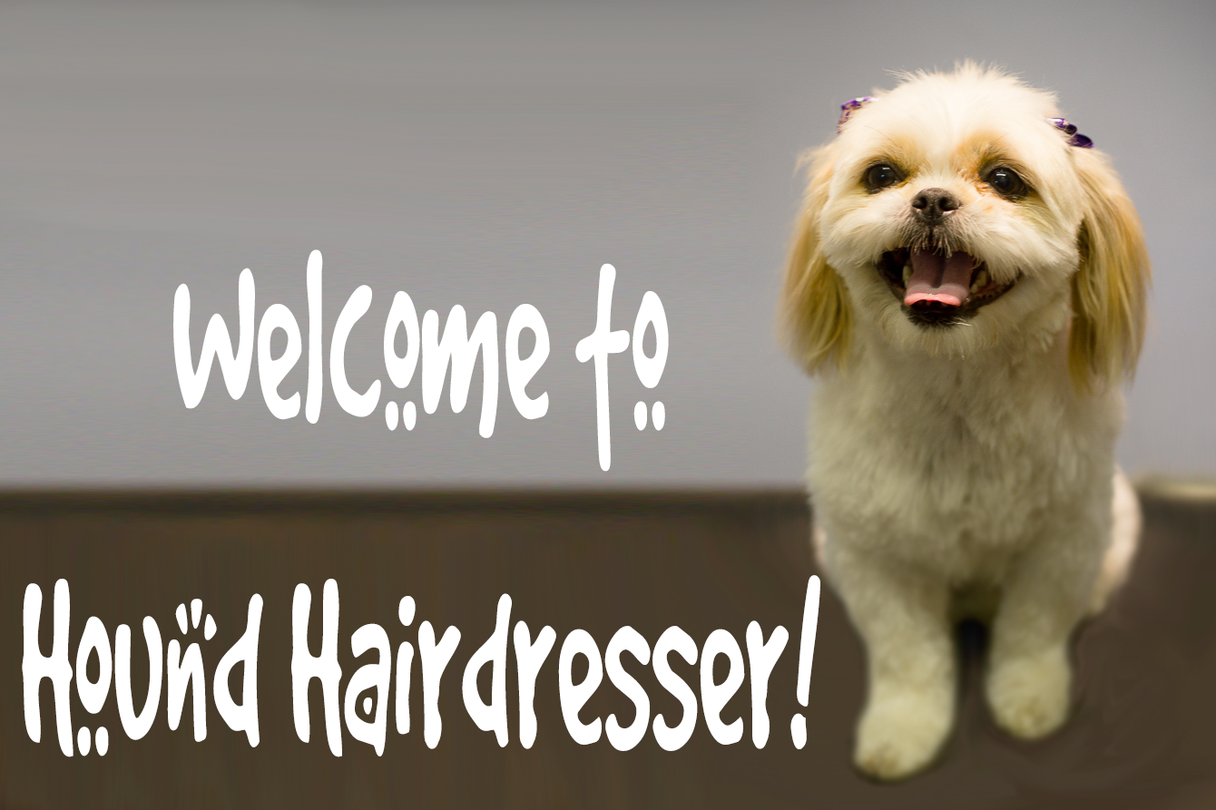 Dog Grooming & Dog Wash Bunbury